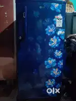 OLG FREIZE SINGLE DOOR