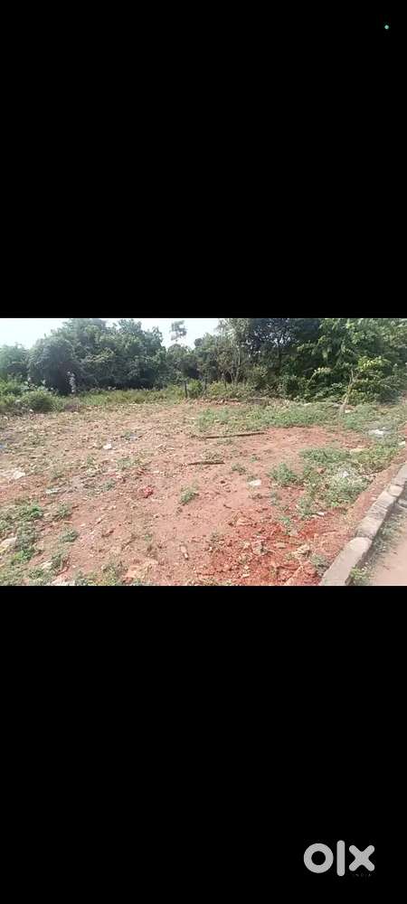 SC colony lankelapalem highway and 1 km for lankelapalem junction