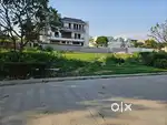 330 Sqyards Plot For Sale in Omaxe Phase 3 New Chandigarh