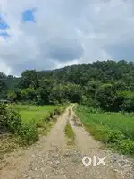 Thano hills Residential Plot for sale