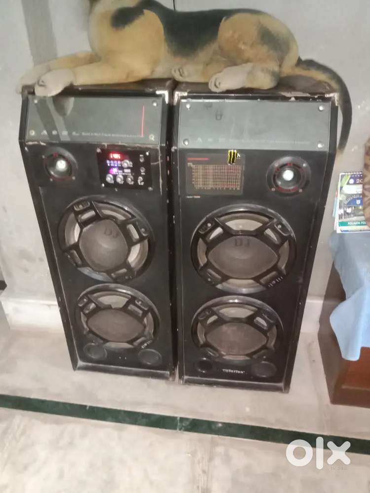 Clarion party speaker