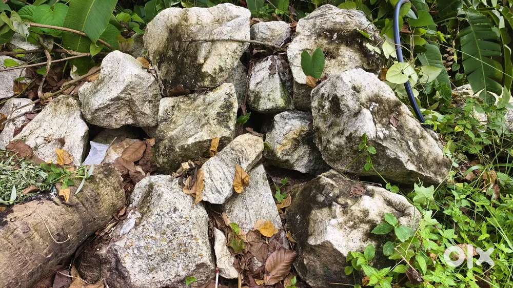 പാറ വില്പനക്ക്