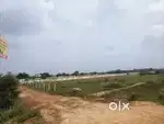 DTCP Rera approved plot