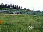 Corner Plot 1456 Sq.ft for Sale – K.V. Kuppam,Near Schools & Bus Stand