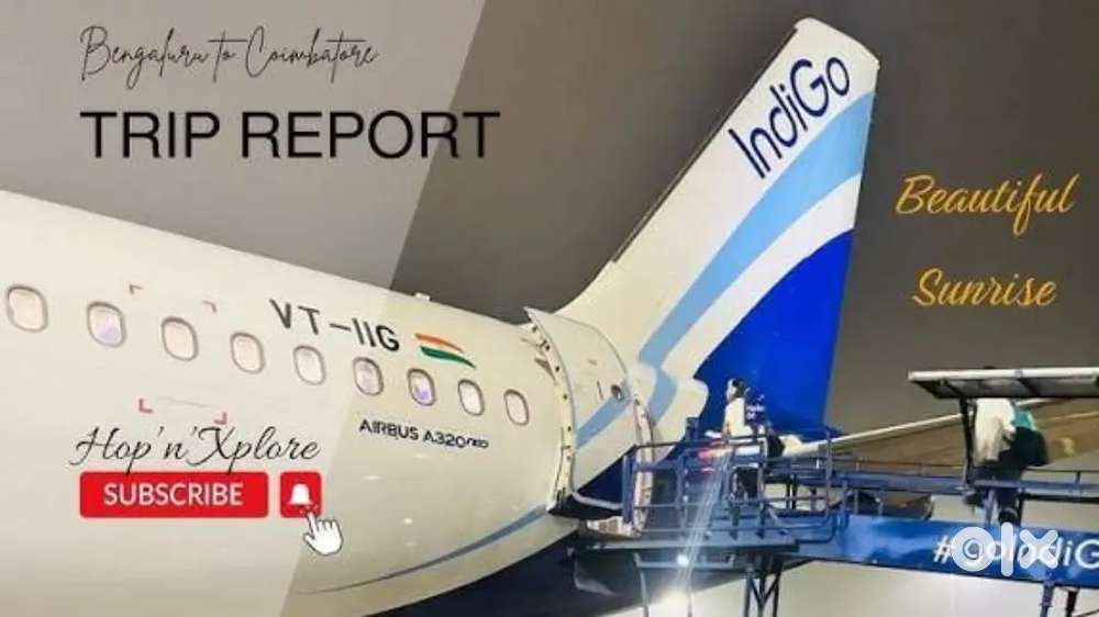 Indigo Airlines jobs /Vacancy for Airport Ground staf / Driver / Crew