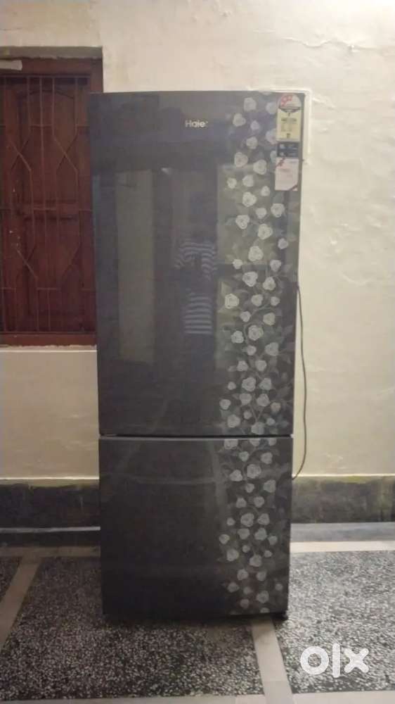 Double door freeze for sell