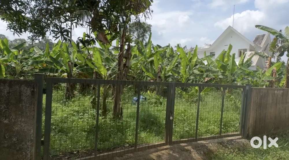 വീട് പണിക്കു അനുയോജമായ