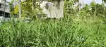 6.600 CENTS PRIME RESIDENTIAL PLOT FOR SALE NEAR PIPINMOODU