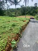 wayanad ambalavayal 60 cent propertie