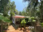 3BHK house in 12 cent land for sale at Arangam, Alakode