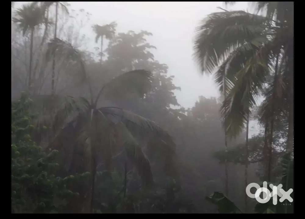 Hill top property sutabile for Resort In Attappady