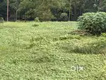 HIGHWAY SIDE PLOTS AT KOLANCHERY