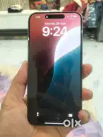 15 pro max 256