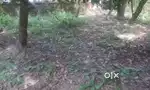 GARDEN GREENERY JAGA BAHUT SUNDER INSAAN RAHANE LAYAK ASSOLNA Goa MEIN