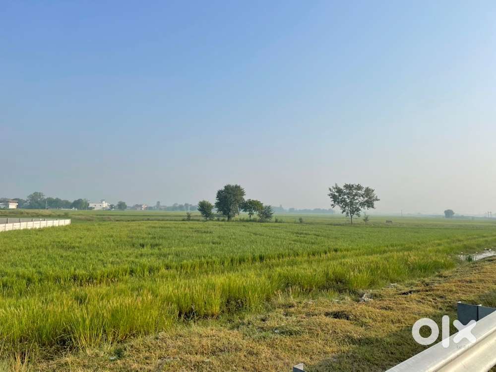 19100 sq feet 90 feet front on highway plot