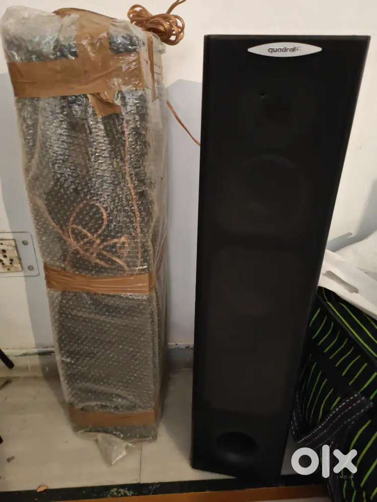 Big size speaker