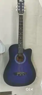 Musical instrument guitar
