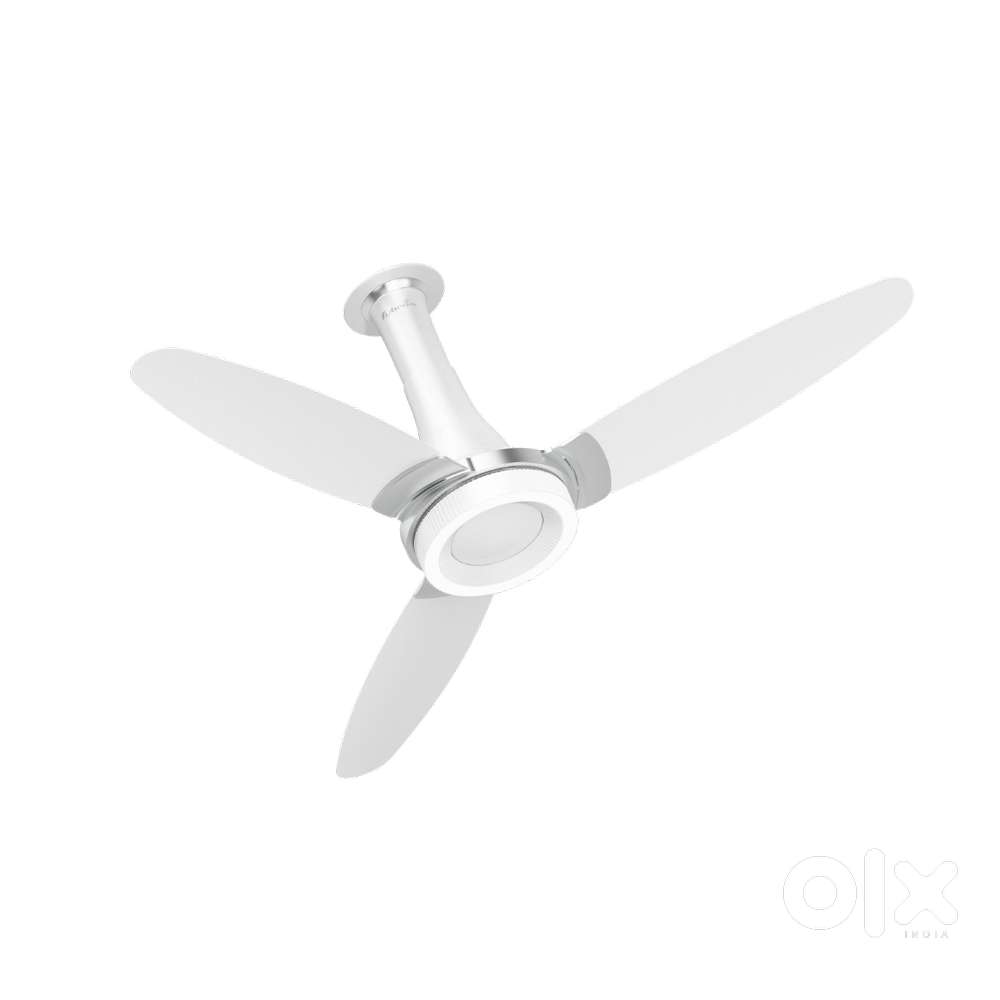 NEED SHOP OR OFFICE FOR ELECTRICAL DISTRIBUTION