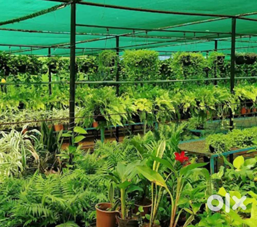 Land for doing Nursery Buisness