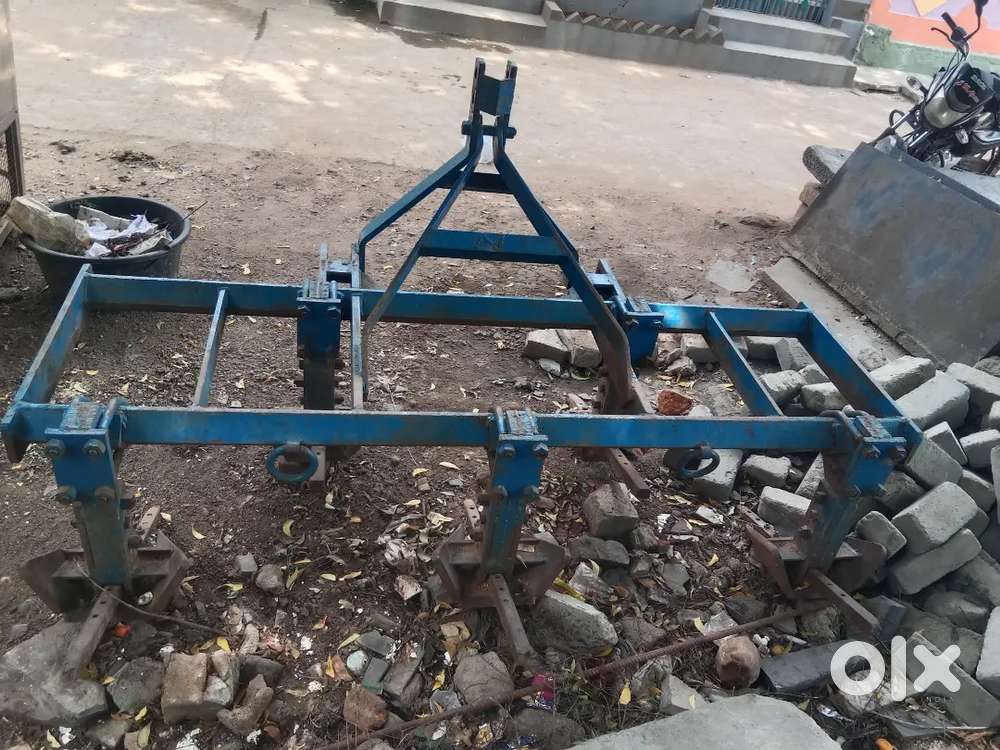 5 madaklu ...