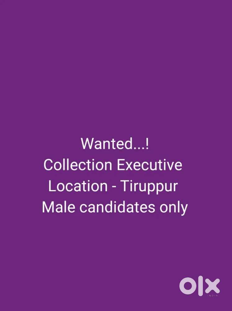 Collection Executive