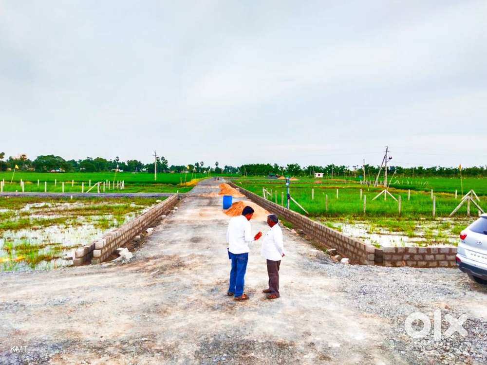 Ready for constrction plots at chinnaogirala CRDA vuyyuru