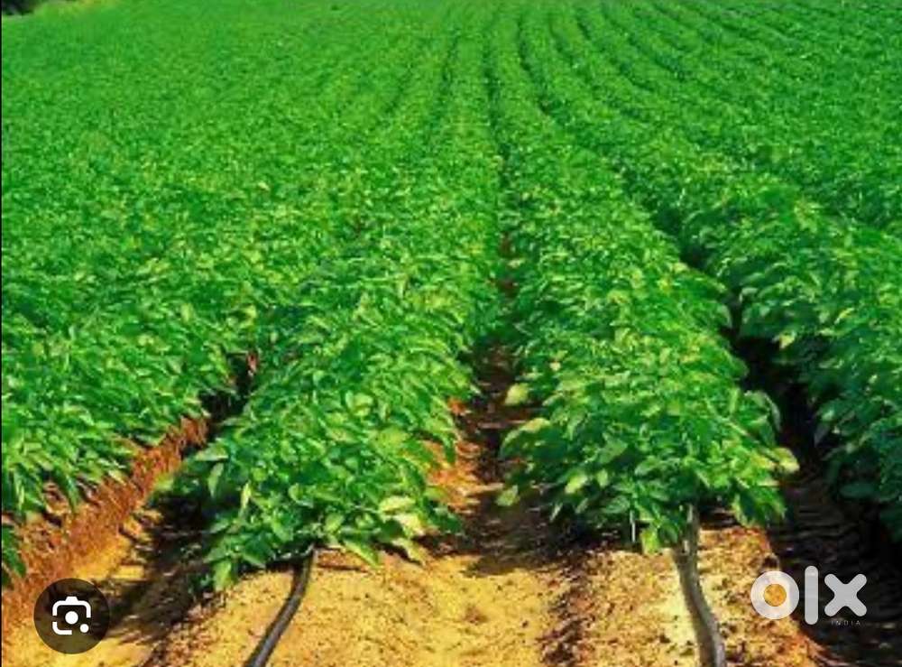 Agricultural land for sale