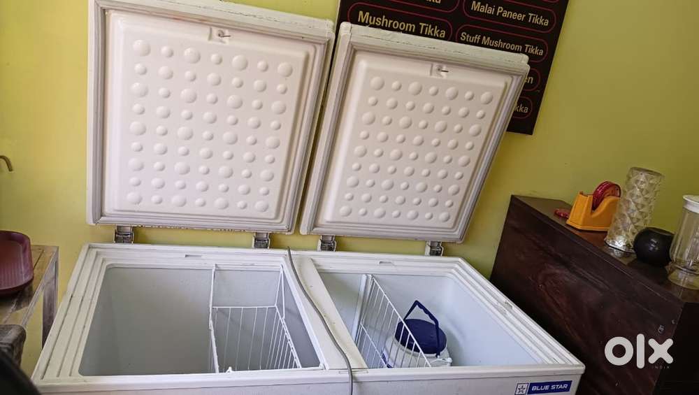 deep freezer double door blue star 300l just 3mnths old