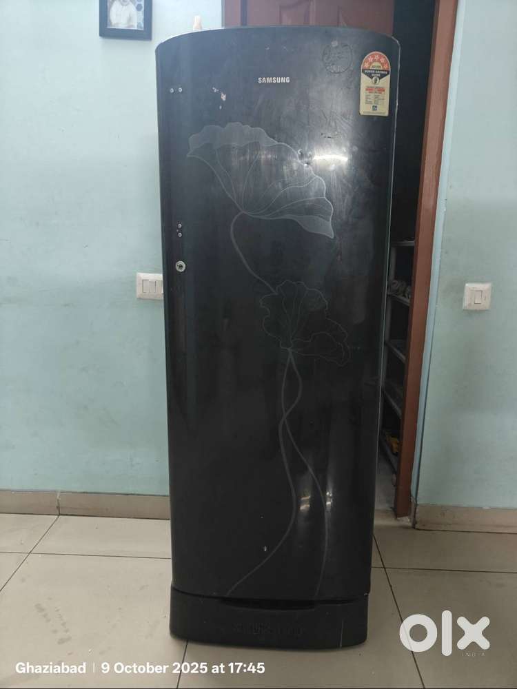 Samsung Freeze 230 L