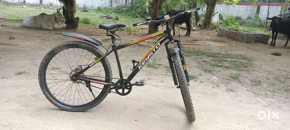 Best condition and no change  18 Inch. 2023..