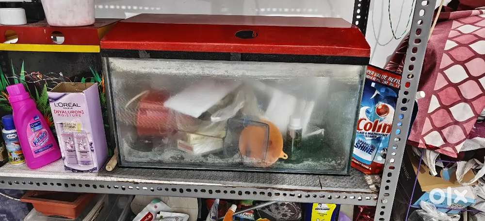 Fish Tank used