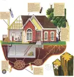 Ants, cockroaches, mosquitoes, spiders, all pest control services