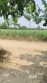 980 gaj plot
