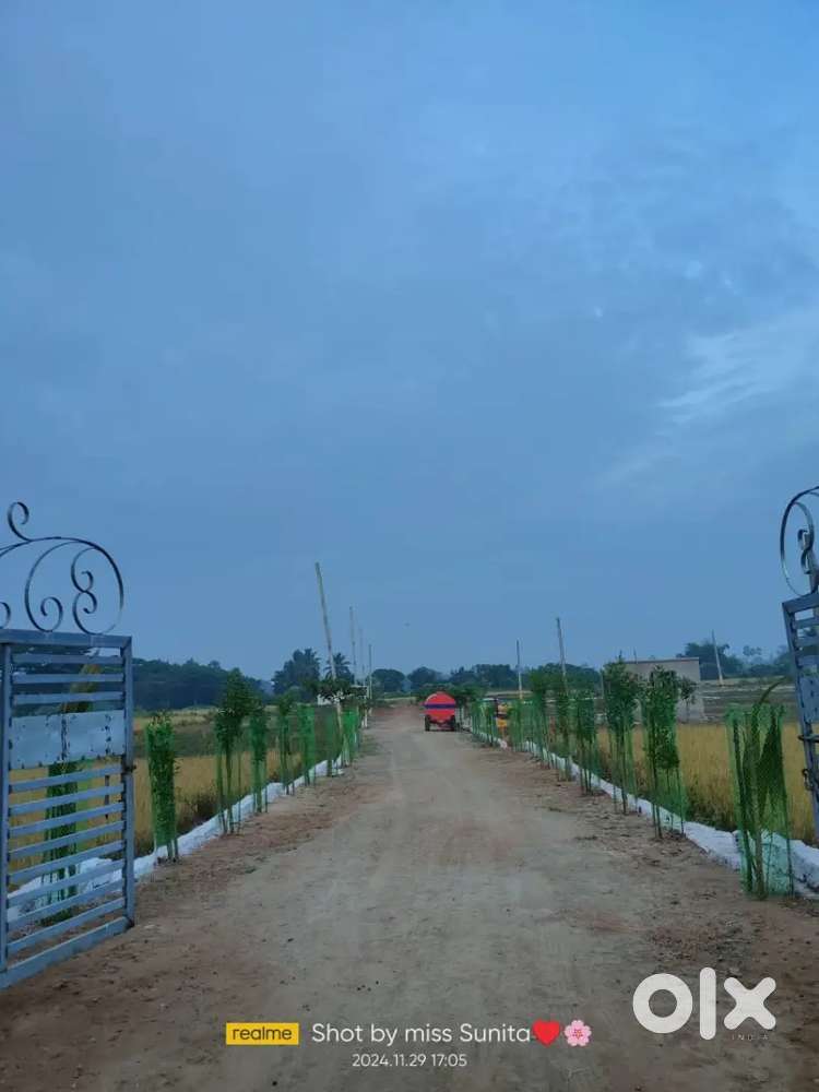 Plot for sale Balianta