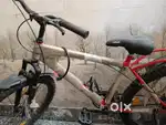 Brand New cycle