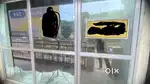 Glasss door