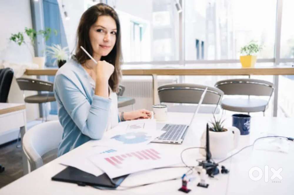 Remote Data Entry Executive