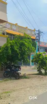 Lowbudget plots for sale