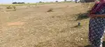 *लखनादौन में अर्जेन्ट प्लॉट*
बेचना है 
 पूर्वमुखी 90×60 वर्गफुट है