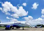 URGENTLY JOB VACANCY IN AIRPORT GROUND STAFF/CABIN CREW APPLY NOW