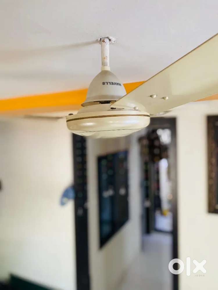 Havells Ceiling Fan