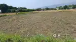 महर्षि स्कूल के पास रामपुर रोड