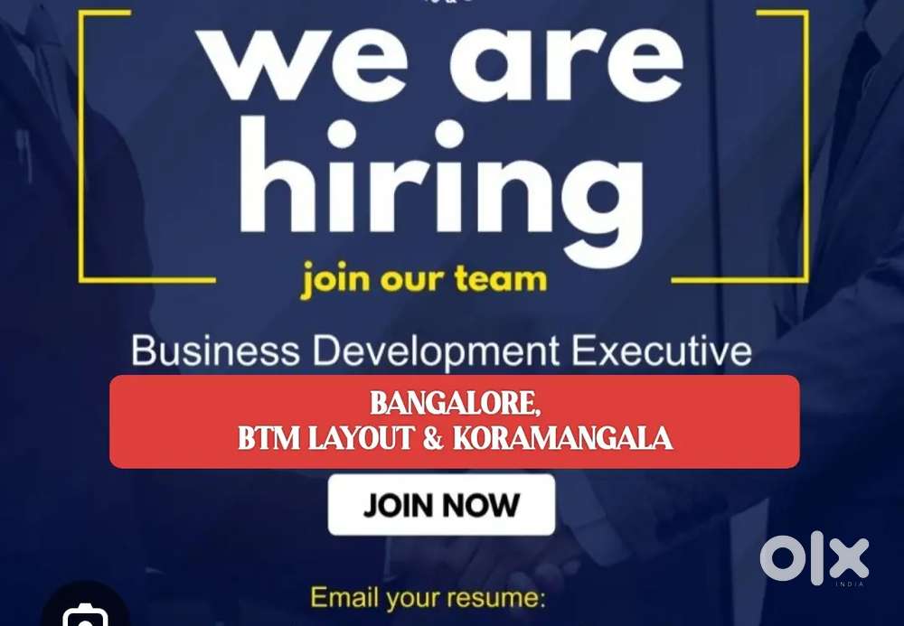 BUSINESS DEVELOPMENT EXECUTIVE