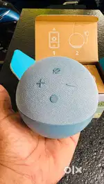 Alexa 4th gen