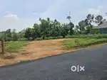 Land for sale at Ayavana, Muvattupuzha