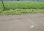 one acre agriculture land in mugaliyakot