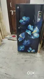 Single door fully functional fridge