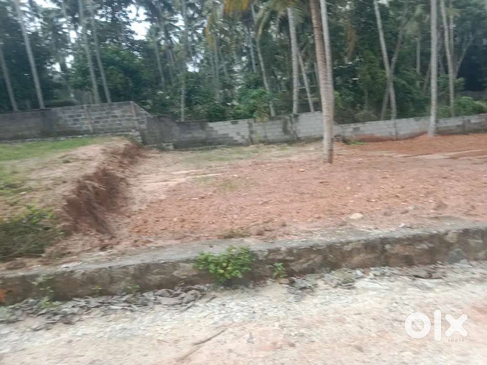 Sreekaryam chekkalamukku jn to250mtr 5cent plot