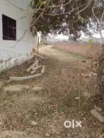 Plot for sell contact us