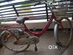 Miss india cycle
